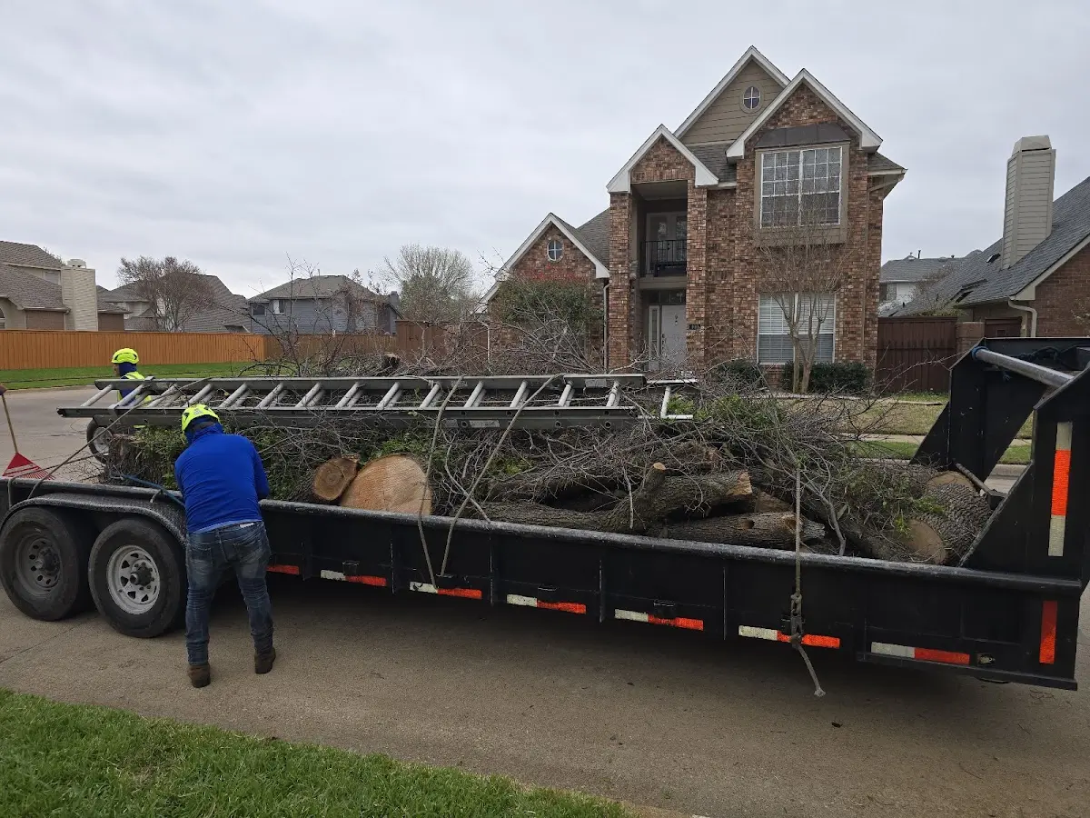 Expert Lot Clearing with proper safety equipment in Quincy